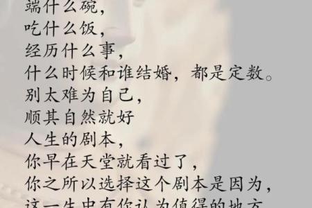 《命运的安排：深度解析《没那种命》的情感世界》