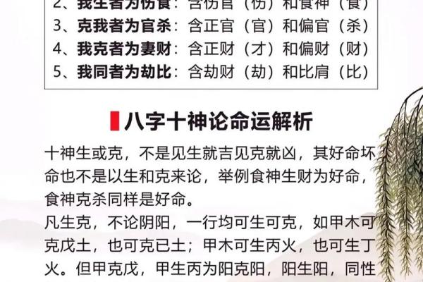 壬寅年：金水旺者的命运解析与人生智慧