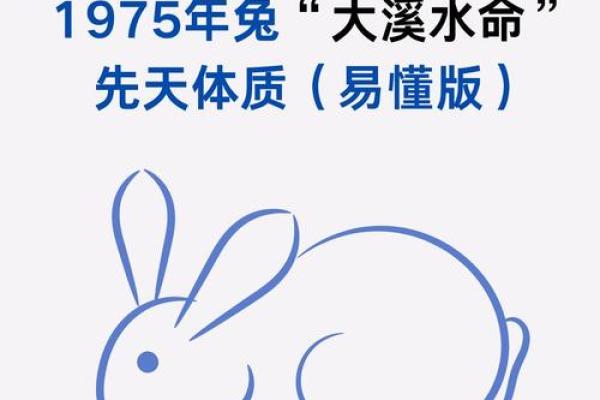 属兔人的五行命格解析：揭示兔年的秘密与命运