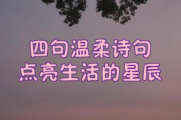 三点四十出生的人命运解析：独特星辰下的生活轨迹与心灵感悟