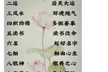 三命二命之道：解读命理中的命运哲学与人生智慧