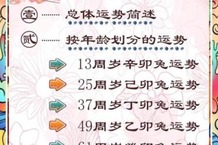 属兔人的五行命格解析：揭示兔年的秘密与命运