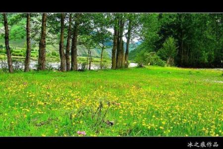 井泉水命：探寻命理与生活的和谐共生之道