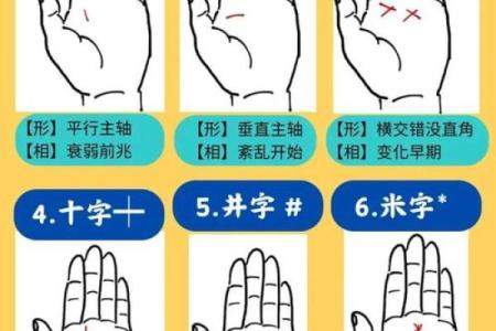 解密手掌纹路：探寻命运的蛛丝马迹