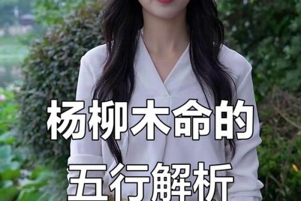 木命孩子命运解析：探索木命孩子的性格与发展之路