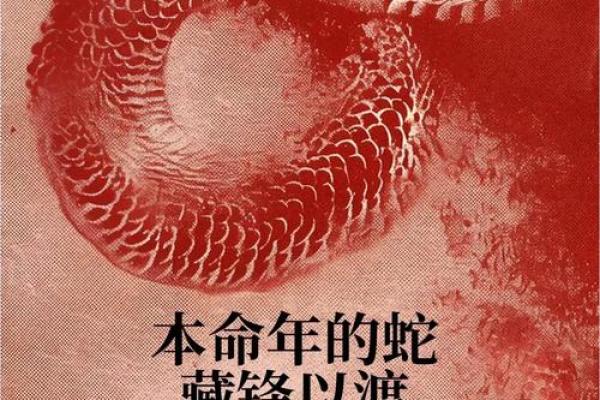 属蛇46岁，揭秘命理与生活的奥秘