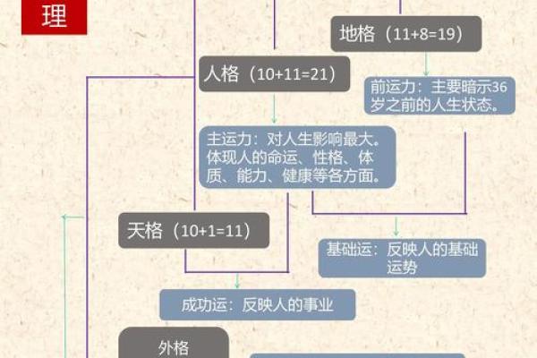 壬午、壬寅、辛未、辛卯命格分析：如何运用五行平衡获得人生的成功与智慧