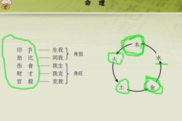 木命与其它命理的搭配，如何相辅相成？