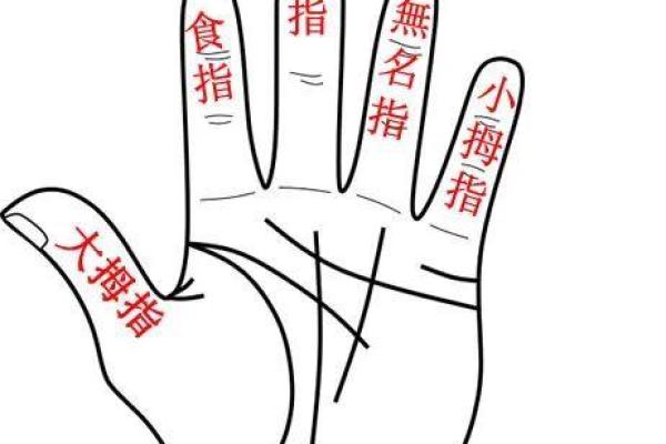 解密指纹命：人生轨迹与手指相连的奇妙故事