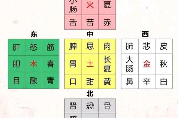 属蛇人的五行命理解析：揭开神秘面的面纱