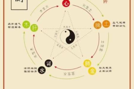木命与五行相合：适合的命理伴侣解析