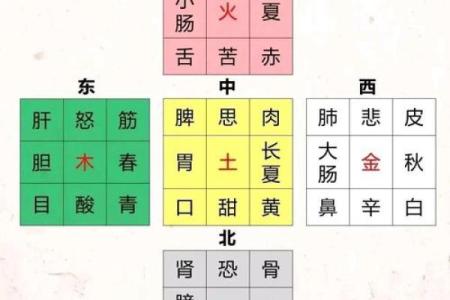 属蛇人的五行命理解析：揭开神秘面的面纱