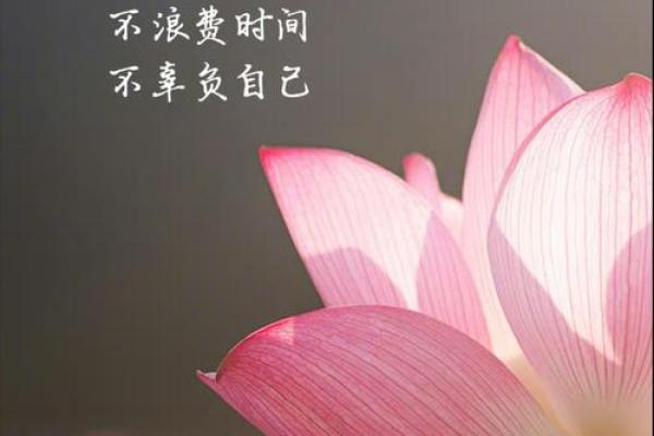 壬水命女孩的缺点与成长：如何更好地应对生活挑战