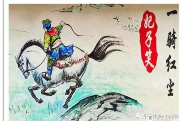 属兔老农夫的命运与智慧：从土地到生活的哲学