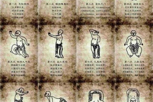 青龙命的女人：命运与素质的完美结合