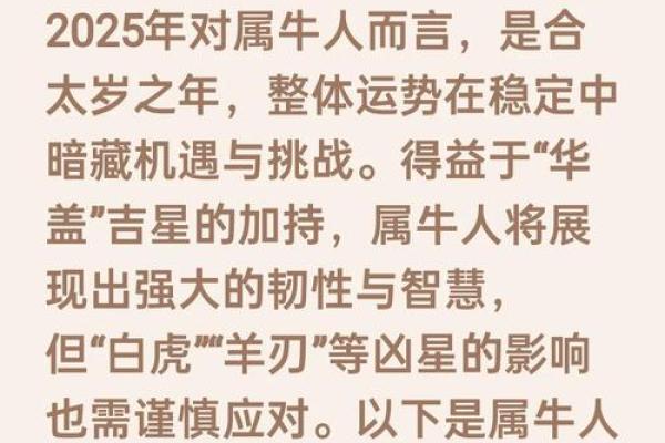 1973年属牛的命运揭秘：这一年带来的财富与挑战