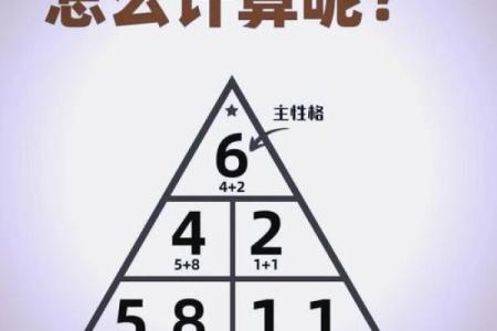 洞悉命运：解读女生男命的奥秘与人生轨迹