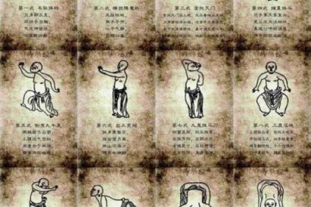 青龙命的女人：命运与素质的完美结合