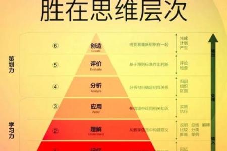 如何理解人生的意义与命运的交织