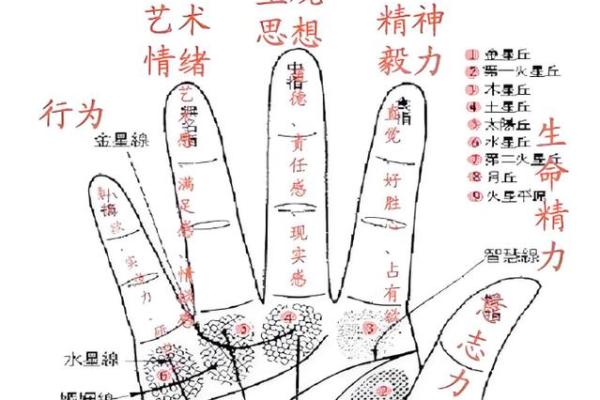 揭秘手纹十个圈的人命运，揭示命理中的奥秘与玄机