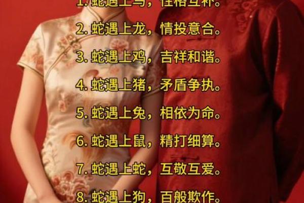 属马与属蛇的人之间的命运交响乐