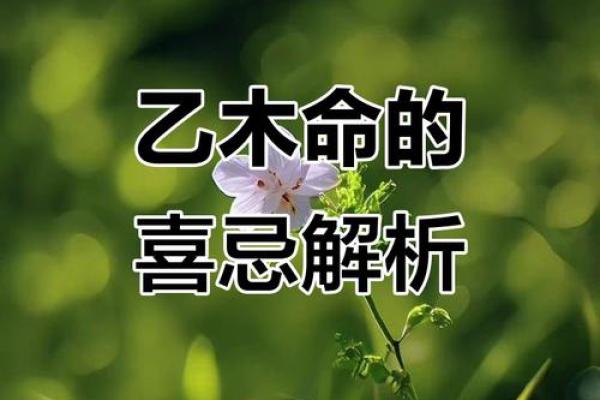 如何判断乙木女孩的命格与性格特点，探寻她们的魅力与人生之路