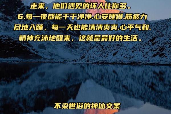 钱命家情与命理的奇妙交织，探寻生活的真谛