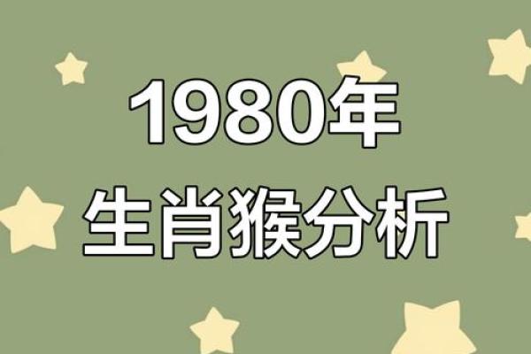 2004年属猴人命理解析：揭示你的优势与发展之路！