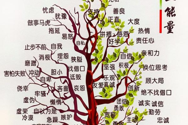 墙壁土命五行缺什么：探寻生命的平衡之道