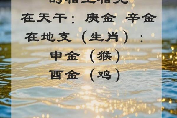 如何看命理，了解自己属什么命？探寻人生的奥秘