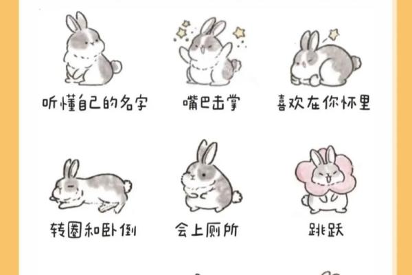 解密生肖兔：兔命格的性格特征与命运分析