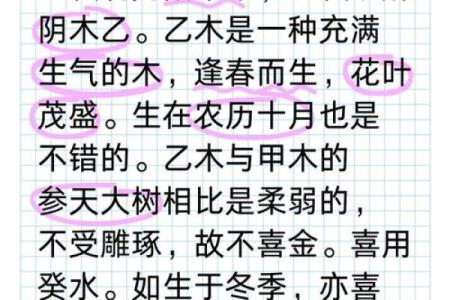 如何判断乙木女孩的命格与性格特点，探寻她们的魅力与人生之路