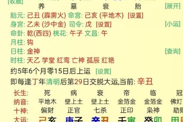 揭秘命理：壬午壬子乙丑辛巳八字解析与命运启示
