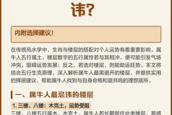 属牛女性的命格分析与人生智慧：如何创造美好未来