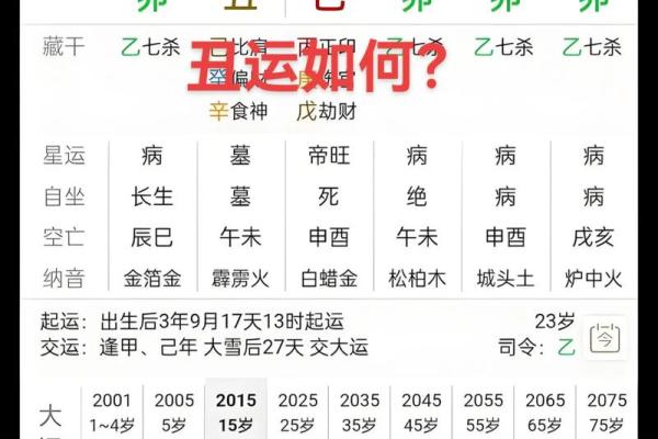 男命食神代表的生肖与命理解析：深度揭示它的魅力与意义