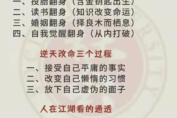 2023年的命运解析：你的命属于什么命，探索命理的奥秘与启示