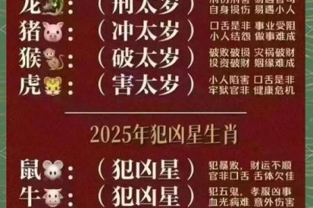 属马者的命运解析：农历五月二十五的特别意义