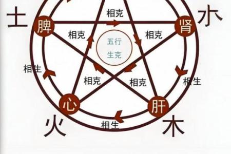 解析土命与木命的相生相克，探寻命理背后的奥秘与智慧