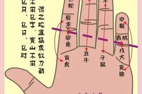 命带金与命带银的秘密：探索五行之美与人生智慧