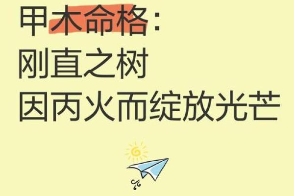 木命女性的风采：如何让木属性在生活中绽放光芒