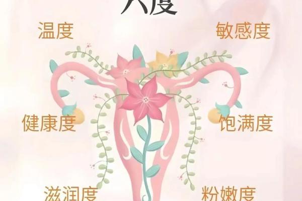 根据命理了解不同体型的人，解锁生活和健康的秘密！