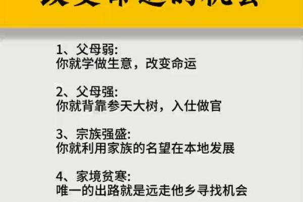 1999年出生的人命运解析：揭示你的性格与未来机遇