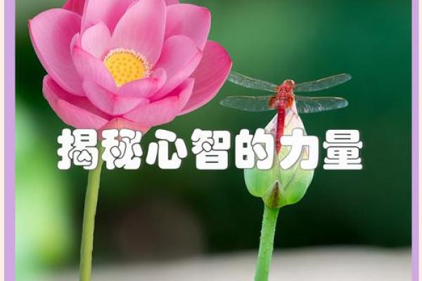 弃命从势，握住自己命运的钥匙，走向光明未来！