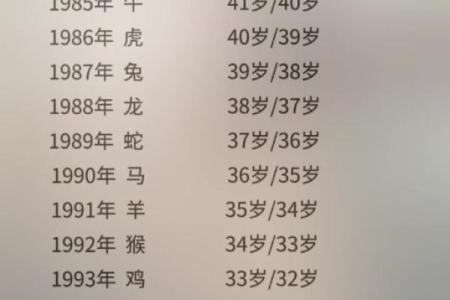 三十九岁属鼠的金命运与人生探索