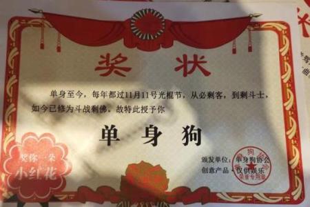 独自走过七年：单身狗的命运与成长之路