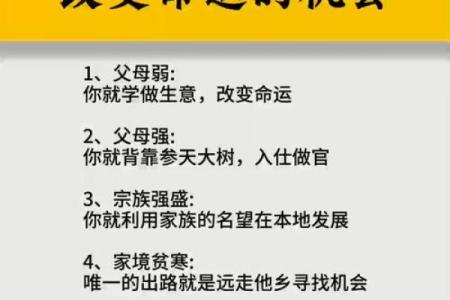 1999年出生的人命运解析：揭示你的性格与未来机遇