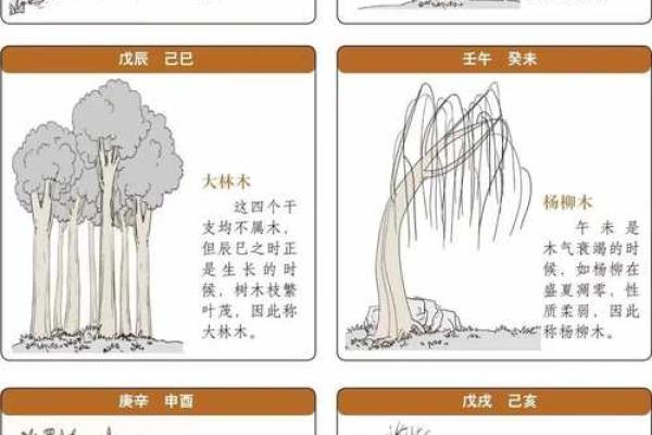日干与纳音：命理中的两个关键要素解析