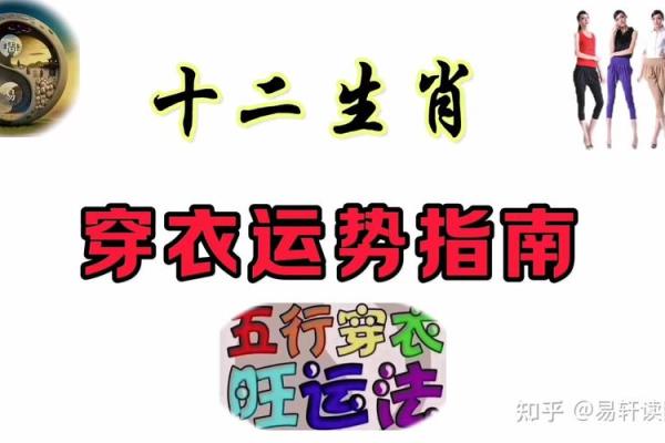 七岁孩子的生肖命理解析：揭开命运的神秘面纱