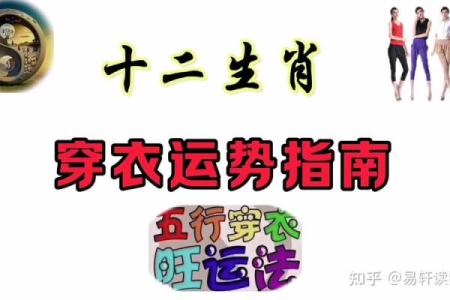 七岁孩子的生肖命理解析：揭开命运的神秘面纱