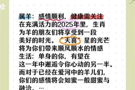 属羊2003：温柔的性格与命运的秘密探讨